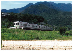 祖母島駅周辺を走る107系電車の写真