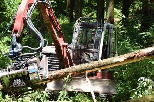 高性能林業機械の写真