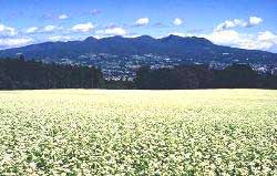 渋川市行幸田から見た赤城山（第3回「こんな風景をいつまでも残したい」写真コンテスト入選作品）写真