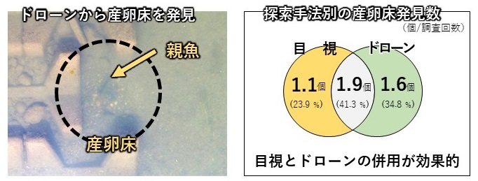 図2画像からの発見例（左）と手法別発見数（右）の画像