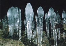 写真：「大幽」の氷筍