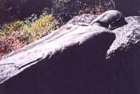 寝釈迦像の写真