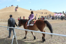 ポニー引き馬体験の様子写真