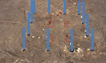 写真14：1号掘立柱建物の祭祀遺物（青い線は柱、赤点線は抜かれた柱の位置）の画像