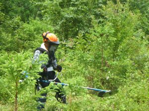 森林ボランティア実習（安全な作業について学びます）
