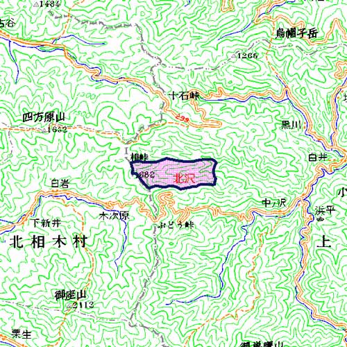 北沢広域図　上野村北西部の北沢一帯の地域