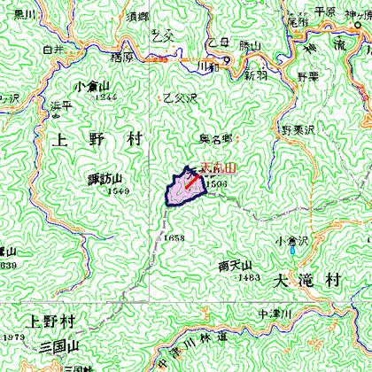 天丸山広域図　上野村天丸山西面を中心とした地域
