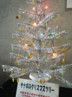 サナギのクリスマスツリーの写真