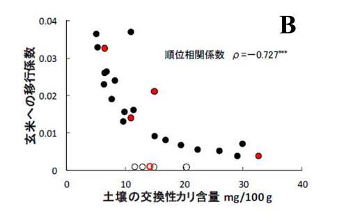 B：農研機構プレスリリース「玄米の放射性セシウム低減のためのカリ施用（平成24年2月24日）から引用：グラフ画像