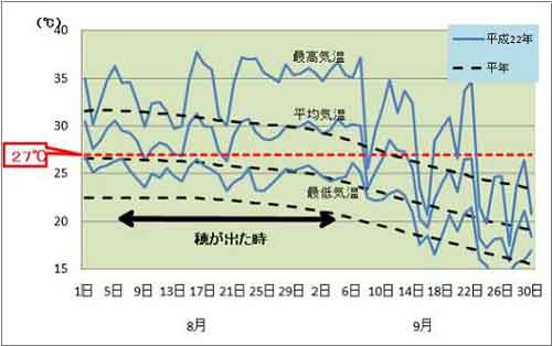 図4平成22年産水稲登熟期の気温の推移（前橋）画像