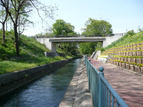 県営かんがい排水事業により改修された水路の写真