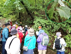 観察会の様子写真その2