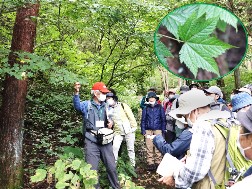 観察会の様子写真その4