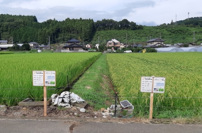 営農情報看板を設置の画像