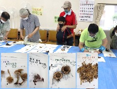 自然講座の様子写真その3
