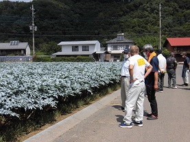 コンニャク検討会の写真2