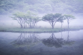 「覚満淵」（赤城山）の写真