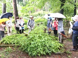 観察会の様子その1