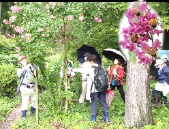 観察会の様子その2