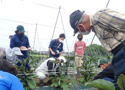 農家による実技指導画像