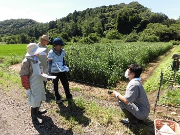 研修会の写真1