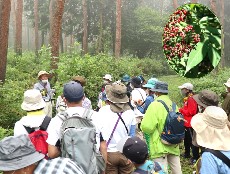 観察会の様子写真その3