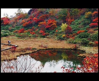 第46回（平成25年度）  草津町長賞の作品写真