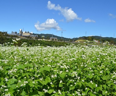 第52回（平成31年度/令和元年度）高山村長賞の作品写真