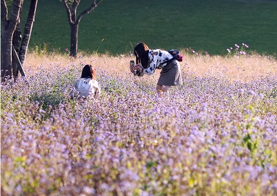 第54回（令和3年度）中之条町長賞の作品写真