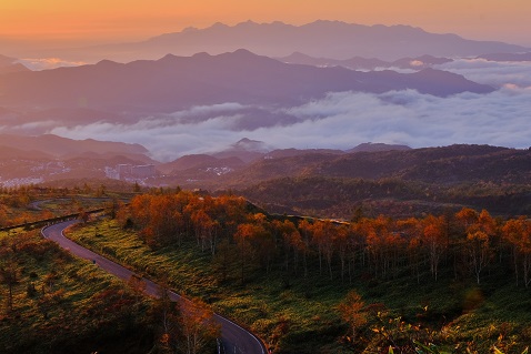 第54回（令和3年度） 草津温泉旅館協同組合理事長賞の作品写真