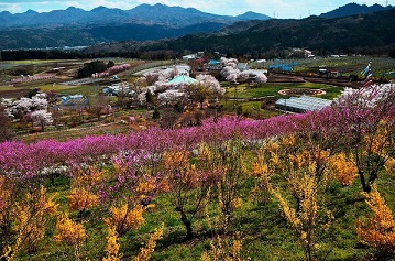 第50回（平成29年度） 中之条町議会議長賞の作品写真