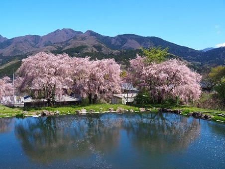 第50回（平成29年度） 東吾妻町議会議長賞の作品写真