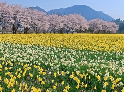 第53回（令和2年度）東吾妻町観光協会長賞の作品写真