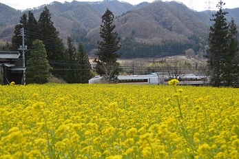 第53回（令和2年度） JR長野原草津口駅長賞の作品写真