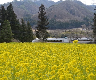 第53回（令和2年度）JR長野原草津口駅長賞の作品写真