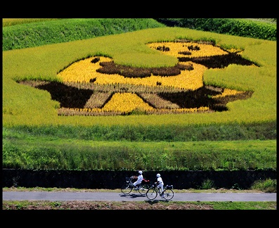 第47回（平成26年度） 高山村長賞の作品写真