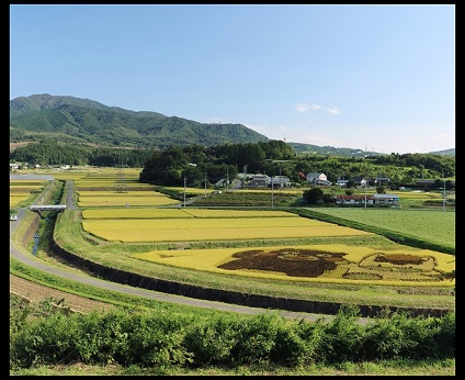 第48回（平成27年度） 高山村長賞の作品写真