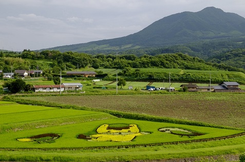 第50回（平成29年度） 高山村長賞の作品写真