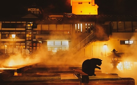 第54回（令和3年度）草津町長賞の作品写真