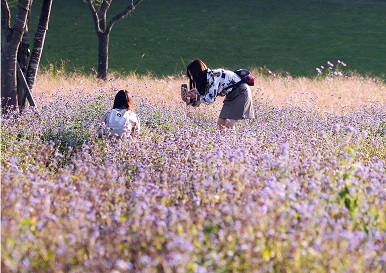 第54回（令和3年度） 中之条町長賞の作品写真