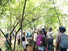 観察会の様子写真その2