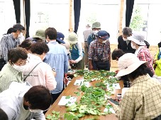 観察会の様子写真その4