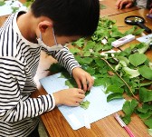 観察会の様子写真その5