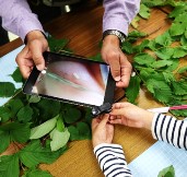 観察会の様子写真その6