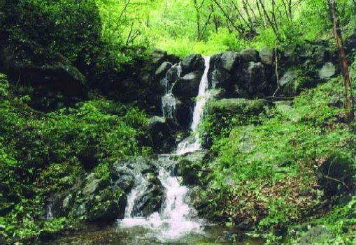 デ・レーケの影響を受けたと思われる 八幡川（榛東村）の石積堰堤画像