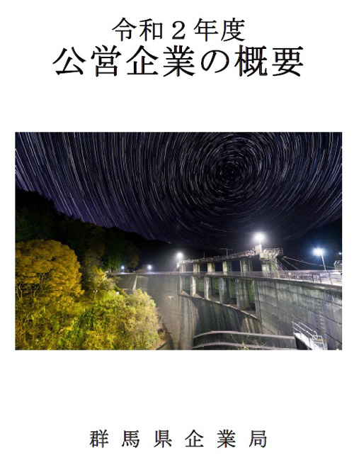 令和2年度公営企業の概要画像