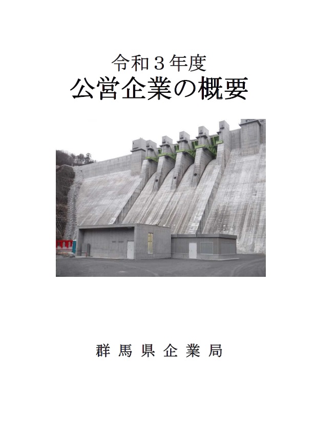 令和3年度公営企業の概要画像