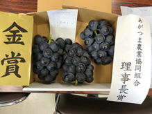 金賞を受賞した果実（品種：藤稔）の写真