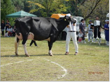 名誉賞　長野原町　三蔵法師グループの写真