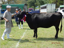 名誉賞　東吾妻町　青木庄一さんの写真